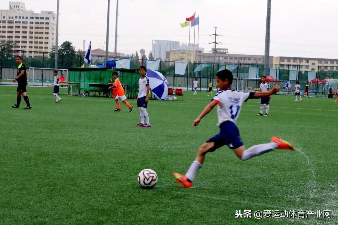 建足球场国家给补助吗？——政策支持与足球发展的新篇章